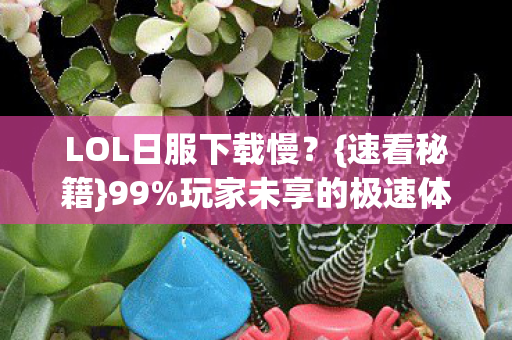 玩家未享的极速体验图片