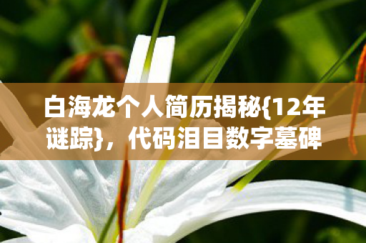 白海龙个人简历揭秘图片