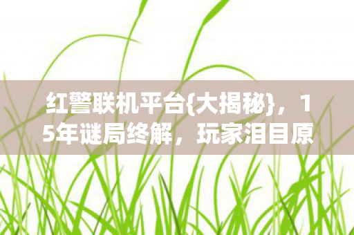 15年谜局终解图片