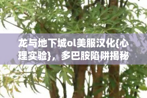 龙与地下城ol美服汉化图片