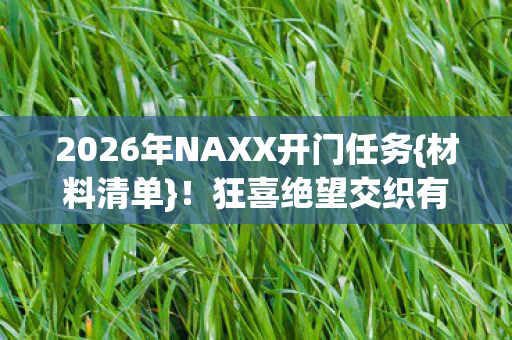 2026年NAXX开门任务图片