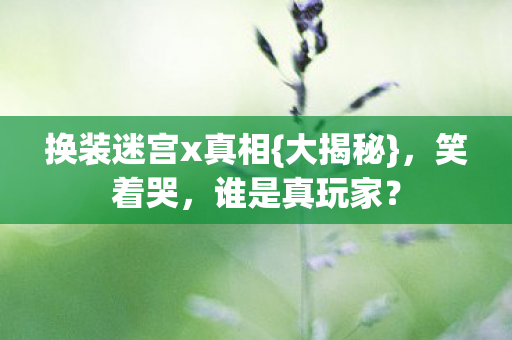 换装迷宫x真相图片