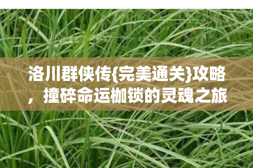 撞碎命运枷锁的灵魂之旅图片