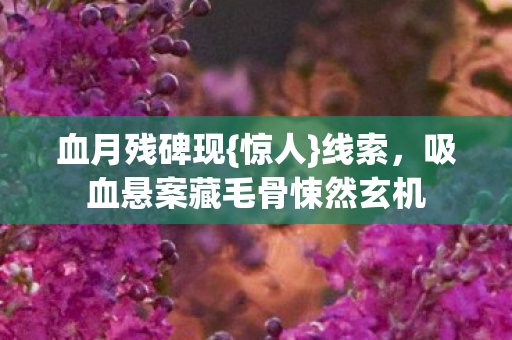 吸血悬案藏毛骨悚然玄机图片