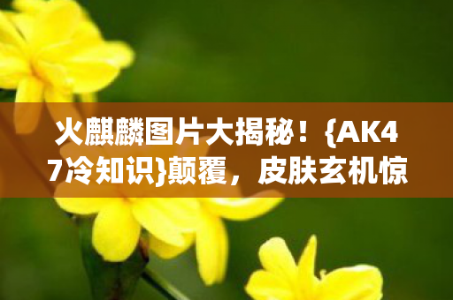 火麒麟图片大揭秘图片
