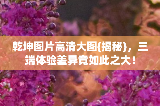 三端体验差异竟如此之大图片