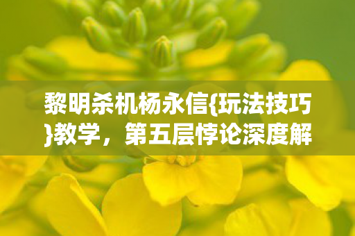 第五层悖论深度解析图片