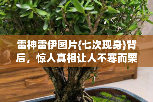 惊人真相让人不寒而栗图片