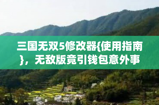 无敌版竟引钱包意外事件图片