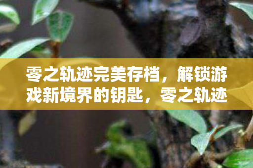 解锁游戏新境界的钥匙图片