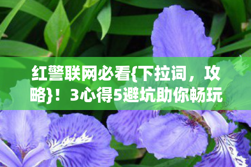 红警联网必看{下拉词,攻略}!3心得5避坑助你畅玩红警 红警联网必看{下拉词,攻略}!3心得5避坑助你畅玩红警
