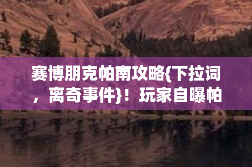 赛博朋克帕南攻略{下拉词,离奇事件}!玩家自曝帕南成电子鬼魂 赛博朋克帕南攻略{下拉词,离奇事件}!玩家自曝帕南成电子鬼魂