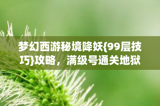 满级号通关地狱指南图片
