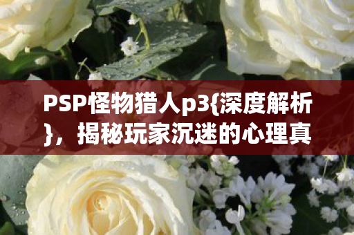揭秘玩家沉迷的心理真相图片