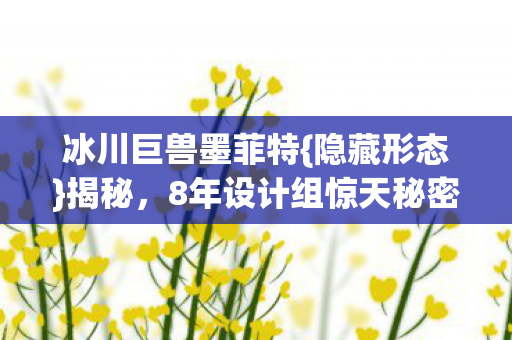 8年设计组惊天秘密图片