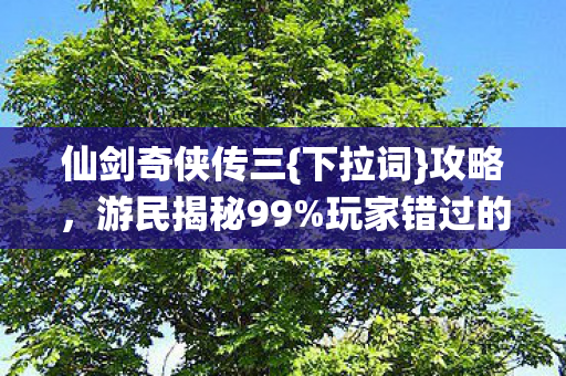玩家错过的隐藏玩法图片