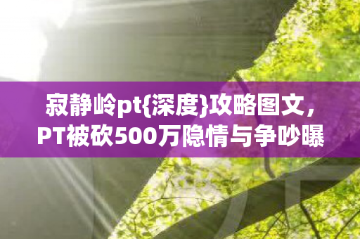PT被砍500万隐情与争吵曝光图片