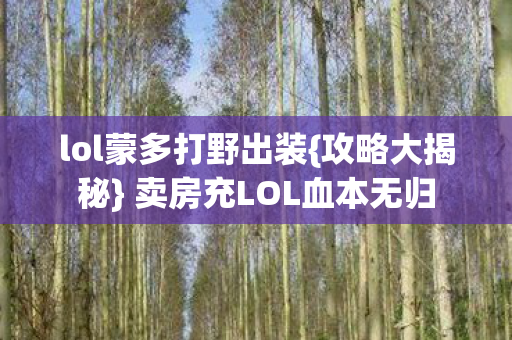 卖房充LOL血本无归图片