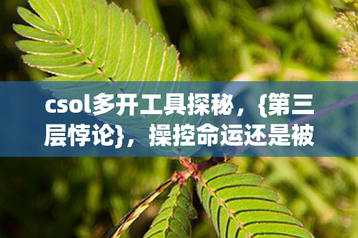 csol多开工具探秘图片