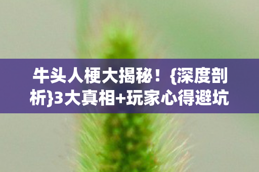 牛头人梗大揭秘图片