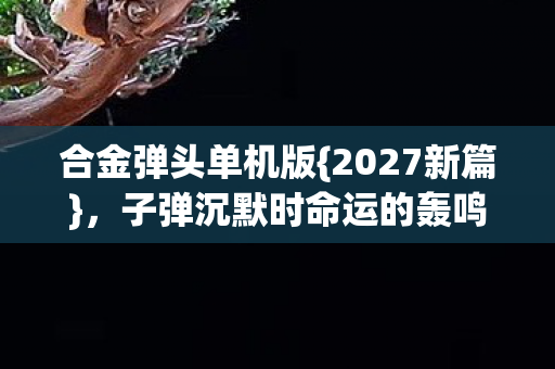 子弹沉默时命运的轰鸣图片