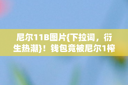 钱包竟被尼尔1榨干至2027图片
