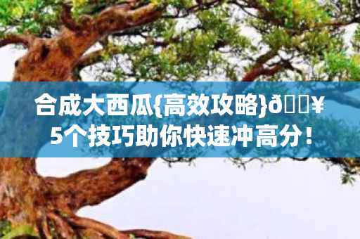 5个技巧助你快速冲高分图片