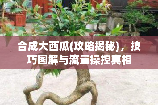 技巧图解与流量操控真相图片