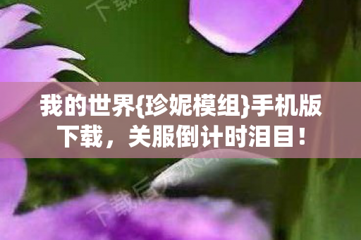 关服倒计时泪目图片