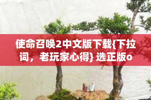 使命召唤2中文版下载{下拉词，老玩家心得} 选正版or情怀版？