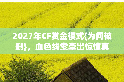 2027年CF赏金模式图片
