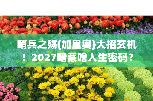 哨兵之殇{加里奥}大招玄机!2027暗藏啥人生密码? 哨兵之殇{加里奥}大招玄机!2027暗藏啥人生密码?