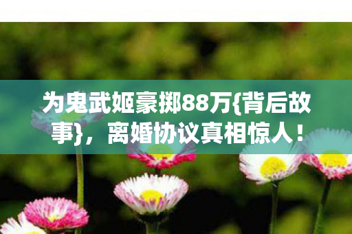 为鬼武姬豪掷88万图片
