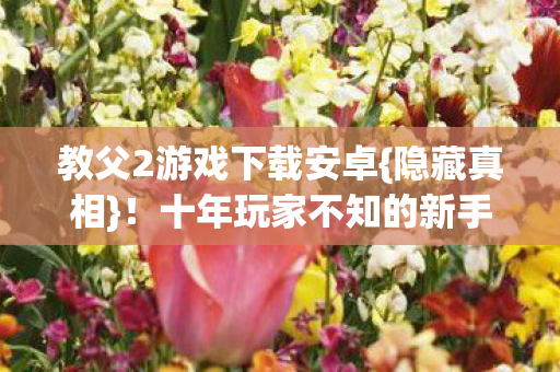 十年玩家不知的新手教程秘密图片