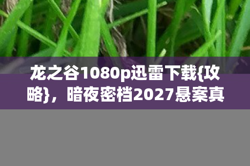 暗夜密档2027悬案真相揭秘图片