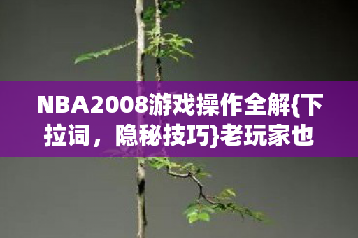 NBA2008游戏操作全解图片