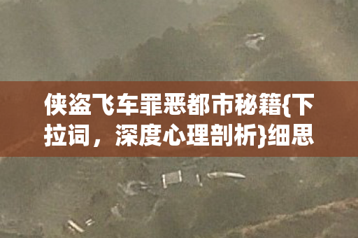 侠盗飞车罪恶都市秘籍图片