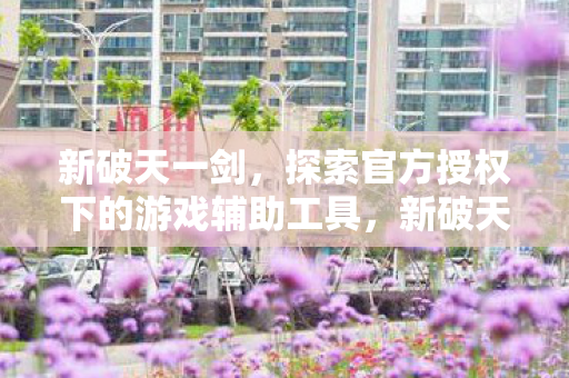 新破天一剑，探索官方授权下的游戏辅助工具，新破天一剑，官方授权下的游戏辅助工具探索