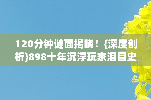 898十年沉浮玩家泪目史图片