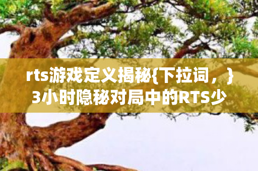 3小时隐秘对局中的RTS少年今何在图片