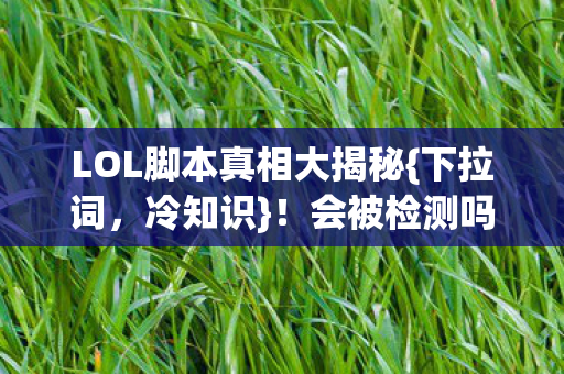 LOL脚本真相大揭秘图片