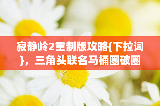 三角头联名马桶圈破圈秘籍图片