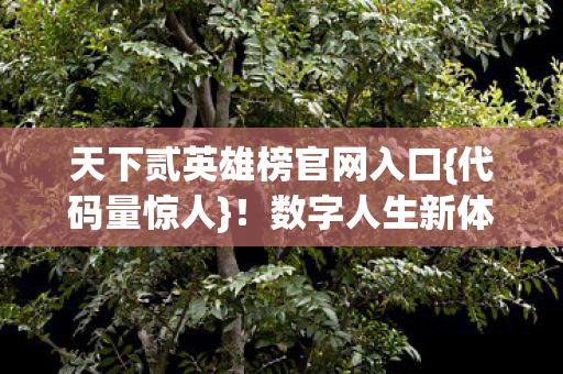 天下贰英雄榜官网入口图片