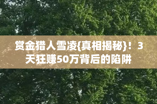 3天狂赚50万背后的陷阱图片
