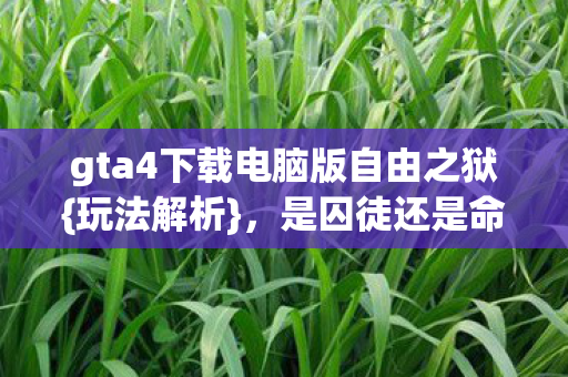 gta4下载电脑版自由之狱图片