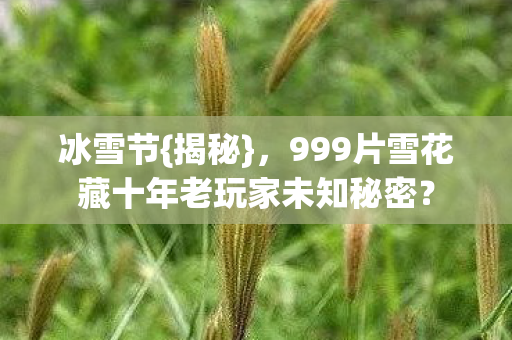 999片雪花藏十年老玩家未知秘密图片