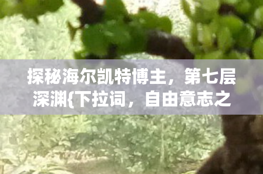 探秘海尔凯特博主图片