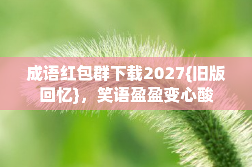 成语红包群下载2027图片