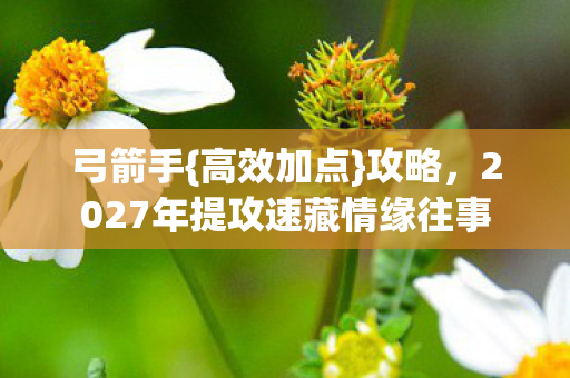 2027年提攻速藏情缘往事图片