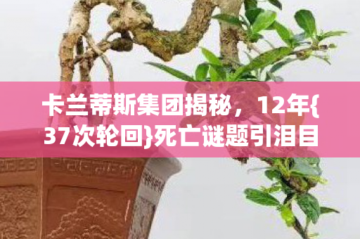 卡兰蒂斯集团揭秘,12年{37次轮回}死亡谜题引泪目 卡兰蒂斯集团揭秘,12年{37次轮回}死亡谜题引泪目